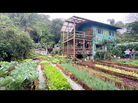 MINHA VISITA AO INSTITUTO COMPASSOS - FLORIPA SC