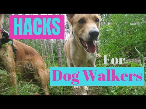 7 MAJOR Hacks for DOG WALKERS