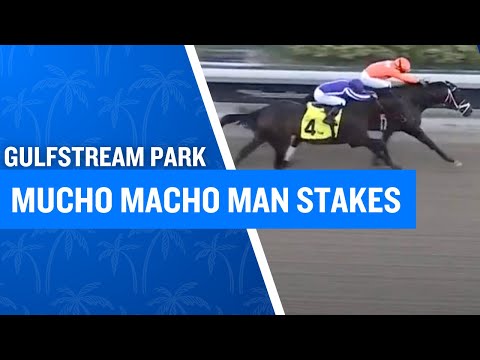 2025 $165,000 Mucho Macho Man Stakes at Gulfstream Park