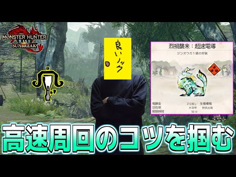 【高速周回】迅錬丹ジンオウガを研究しながら神護石を狙う！！！【steam版/モンスターハンターライズサンブレイク】