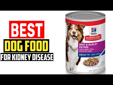 Top 5 Best Dog Food for Kidney Disease in 2023