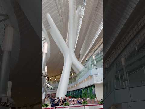 香港九龍高鐵站/Kowloon High-speed Railway Station in Hong Kong#九龙#香港#高铁站#Hong Kong