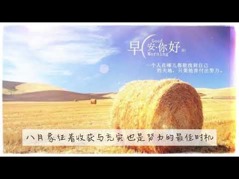 你好，8月！