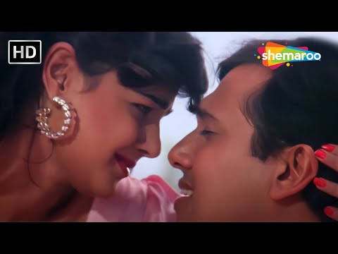 Kitne Dino Ke Baad Mile Ho | Govinda | Mamta Kulkarni | Andolan (1995) | Alka Yagnik Kumar Sanu Hits