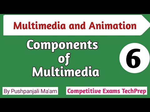 Lec -1.6 Components of Multimedia in Hindi