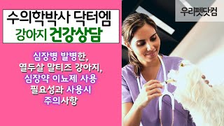 12세 말티즈 강아지, 심장약 이뇨제 사용 필요성과 사용 시 주의사항!!