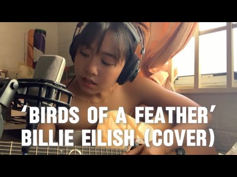 Birds of a feather- Billie Eilish (cover by yinern)