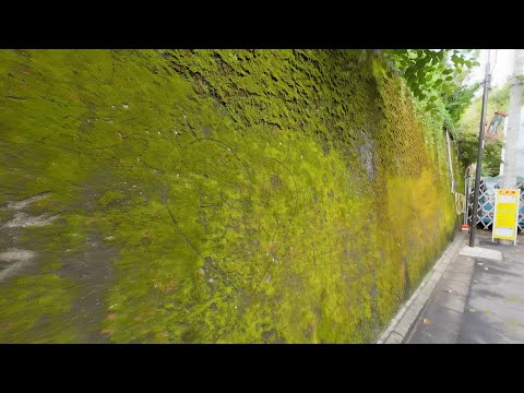 【東京編】大久保駅から始まる散歩：４K　Japan Okubo