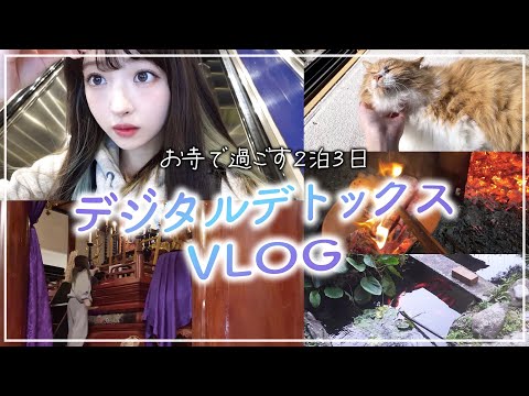 【vlog】ネットに生かされてるわたしのデジタルデトックス旅【お寺/猫/薪割り/火起こし/修行】