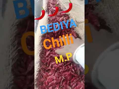 #chill #mirchi #bedia #khargone #madhyapradeshnewslive #asia #viralvideo #viralshorts #ylshorts