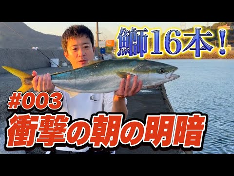 【山口鰤釣り遠征】堤防でブリ16本爆釣！奇跡の朝に声を失う…