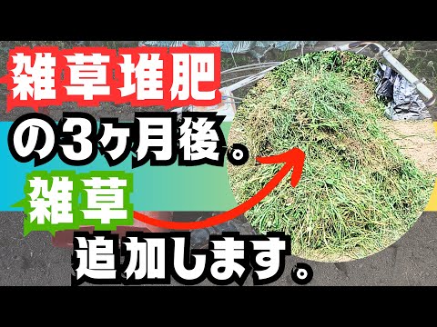 【雑草堆肥】の経過と【堆肥枠】に雑草を追加します‼️