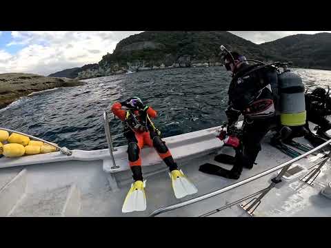 伊豆 雲見で洞窟ダイビング！ Cave diving in Japan！