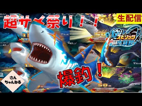 サメサメサメフィーバー！！超爆釣で大量GET！！！釣りスピリッツ 釣って遊べる水族館実況プレイ 【さんちゃん】　生配信