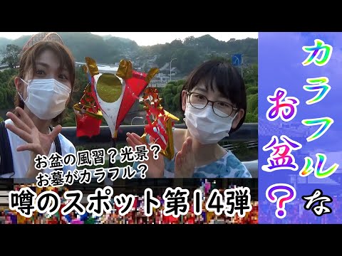 「～噂のスポット第14弾～」お盆の時期になると売られている墓地をカラフルに彩るものがあるらしい...