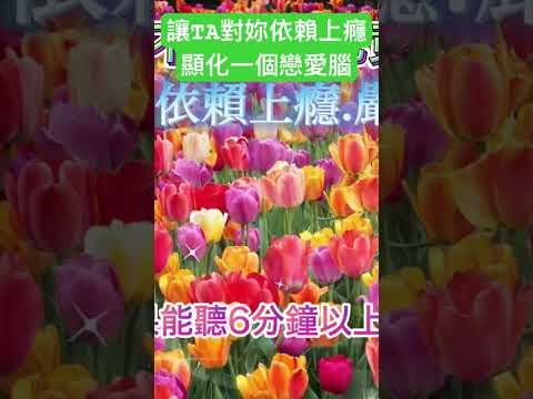 愛情顯化音樂｜快速吸引你喜歡的人對你上頭 終於在一起了徹底打開Ta的心 讓Ta瘋狂想念妳 Ta將對妳依賴上癮 這是強大的愛情吸引力法則音樂#愛情 #愛 #戀愛腦 #顯化 #正能量 #感情 #love