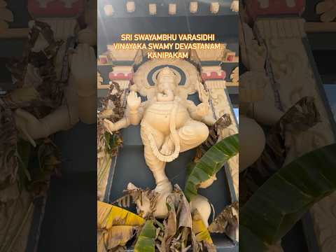 Divine Journey to Sri Swayambhu Varasidhi Vinayaka Swamy Temple, Kanipakam #ganesh #kanipakamtemple