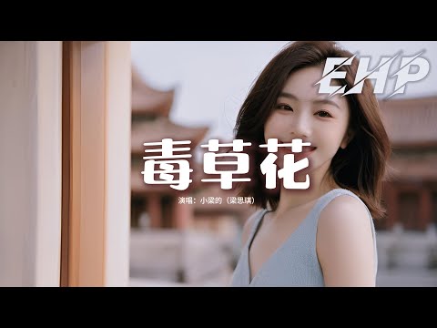 小梁的（梁思琪） - 毒草花『有毒的草開著迷人的花，害我的人揭開愛的傷疤，我想我就是一個笑話，剎那丟掉了芳華。』【動態歌詞MV】