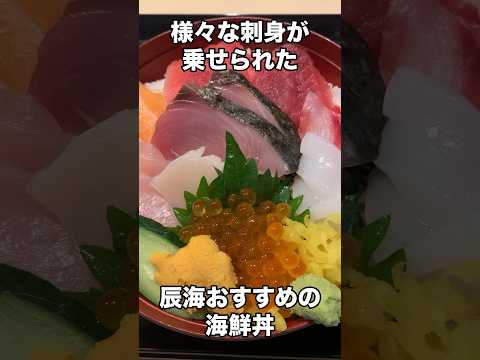 【辰海】柳川市の極上海鮮丼が食べられる名店 #福岡グルメ