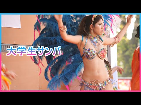 4K サンバ カーニバル 女子大生 可愛い はむら市民と産業のまつり 2023 Samba