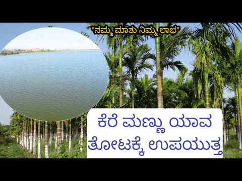 ಕೆರೆ ಮಣ್ಣು ಯಾವ ತೋಟಕ್ಕೆ ಲಾಭ- ಯಾವ ತೋಟಕ್ಕೆ ವಿಷ.|| For which soil the lake soil is benefit and poison.