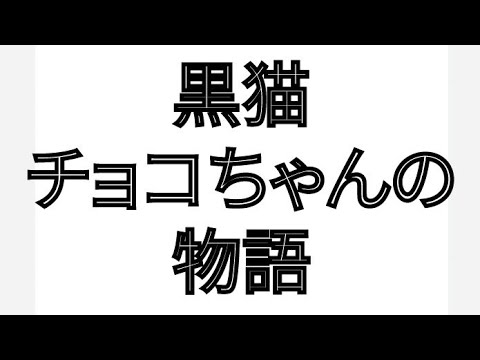 黒猫チョコちゃんの物語