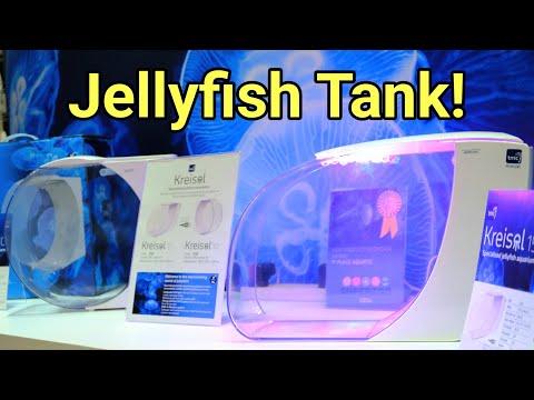 Kriesel Pet Jellyfish Aquariums! AquaH 2024