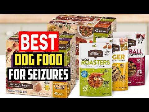 ✅Top 5 Best Dog Food for Seizures in 2023