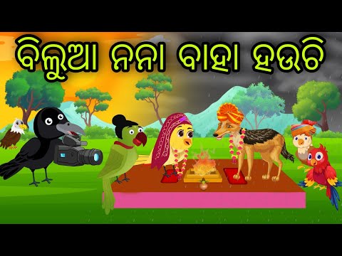 ବିଲୁଆ ନନା ବାହା ହଉଚି | Bilua Nana Baha Hauchi | Tiki Chadhei Gapa | Odia Chadhei Gapa | New Story