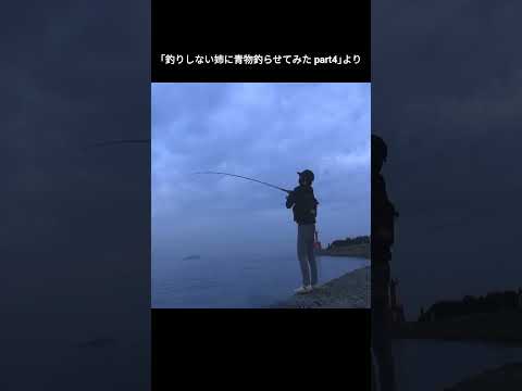 釣りしない姉に青物釣らせてみた #釣り #青物　 #fishing　 #ショアジギング