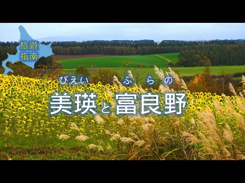 北海道 美瑛 富良野 交通與景點 下集 / 祕境黃金紅葉 / 日本自由行6