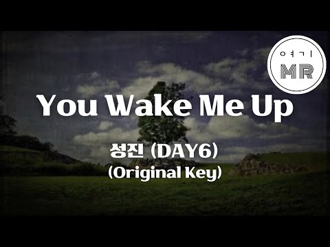 You Wake Me Up - 성진 (DAY6) (원키F) 여기MR / Karaoke / Music / 노래방