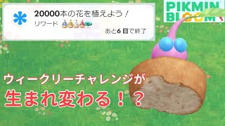 ウィークリーチャレンジの内容が毎週変わるだと！？まったく新しいチャレンジが今後やってきそうな予感！！【ピクミンブルーム / Pikmin Bloom 】