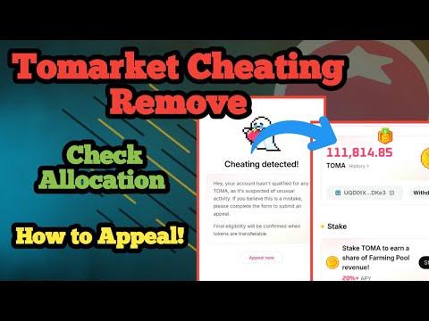 How to Remove Tomarket Cheating Detected! How to Solve Tomarket Cheating! Tomarket Allocation Check