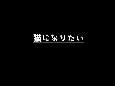 【オリジナル曲】猫になりたい   を弾いて歌ってみた #鹿乃 #Shorts