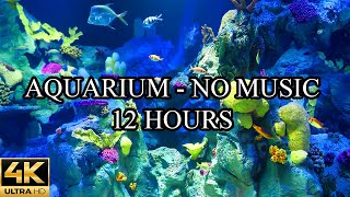 AQUARIUM 4K Coral Reef 4K Aquarium No Music No Ads - 12 Hours | Meditation | Relaxation | Sleeping