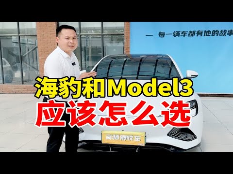 比亚迪海豹和Model3怎么选？海豹开两个月亏6万？