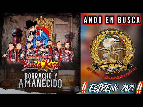 Ando En Busca / Josecito León Y Su Internacional Banda Roja / ¡¡¡Estreno 2021!!!