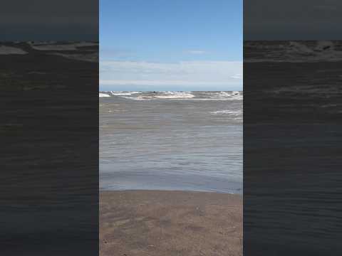 Point Pelee, the southernmost point of mainland Canada, is a spit of land that juts into Lake Erie!