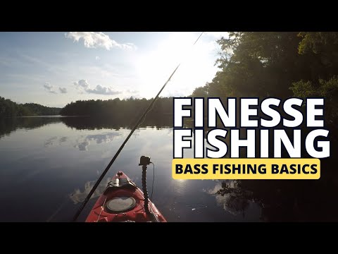 Finesse Fishing 101: A Beginners Guide