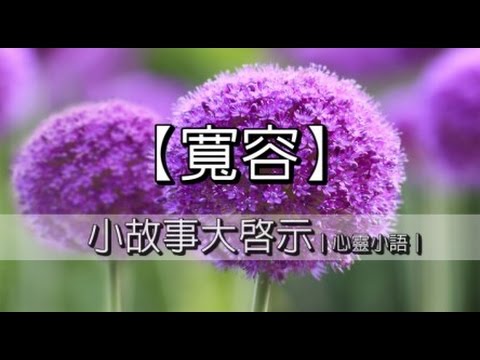 寬容｜心靈小語｜