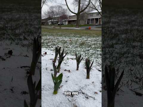 Snow #dailyvlog #minivlog family traveller Tamil Vlogs America #tamilshorts #shortvideo #shortsfeed