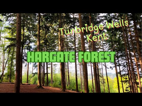 Hargate Forest - Tunbridge Wells, Kent