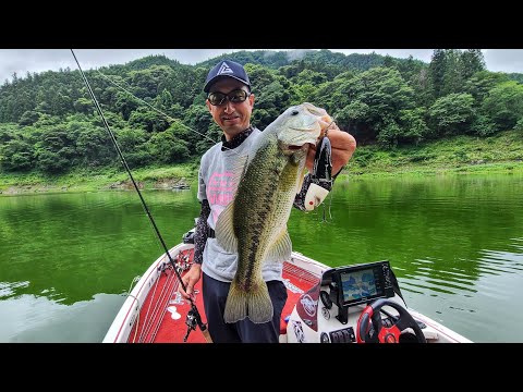 【神流湖】神流神💥初夏のJFG🎣ジュンフィッシングガイドサービス🙌✨️