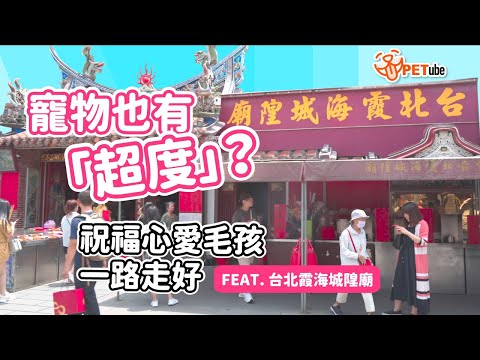 寵物也有「超度」？祝福心愛毛孩一路走好Feat.台北霞海城隍廟【編走編看】｜#哈寵PETube 第243集