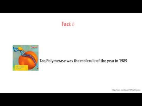 7 quick facts on Taq Polymerase Enzyme - HD