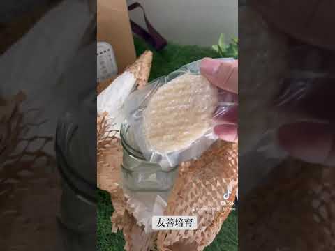 鮮燉燕窩DIY，零失誤，好玩又養顏補氣~!