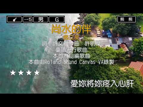 尚水的伴-翁立友(Karaoke伴奏)