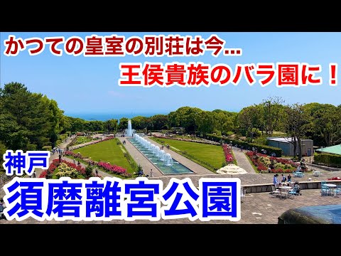 【神戸観光】かつては皇室の別荘 現在は「王侯貴族のバラ園」で知られる須磨離宮公園を散策