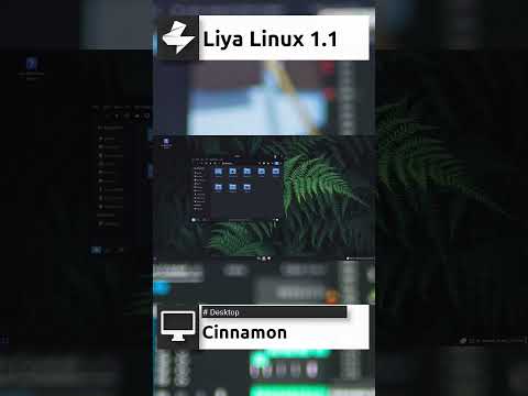 Liya Linux 1.1 Quick Overview #shorts